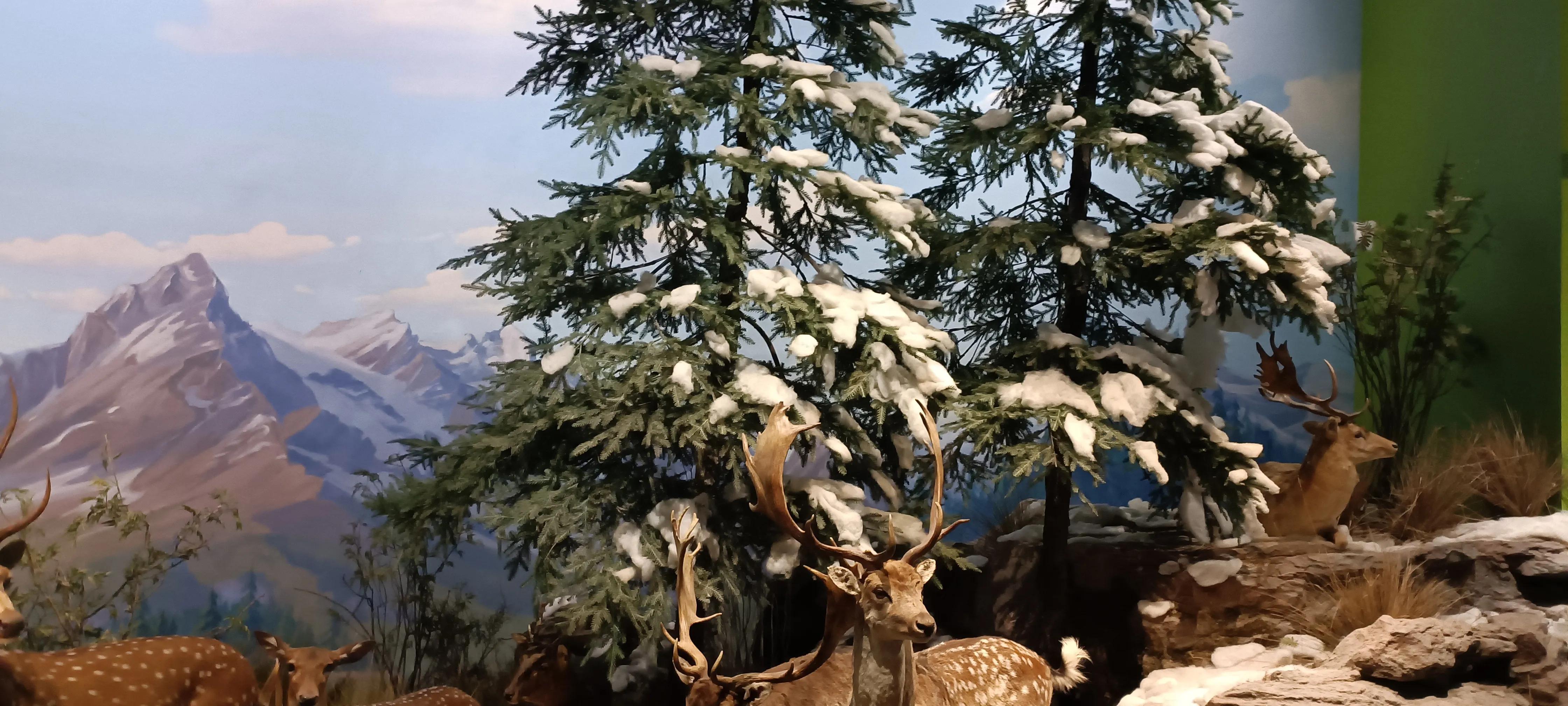 河南省科技馆新馆中标公示,河南省科技馆新馆预约门票