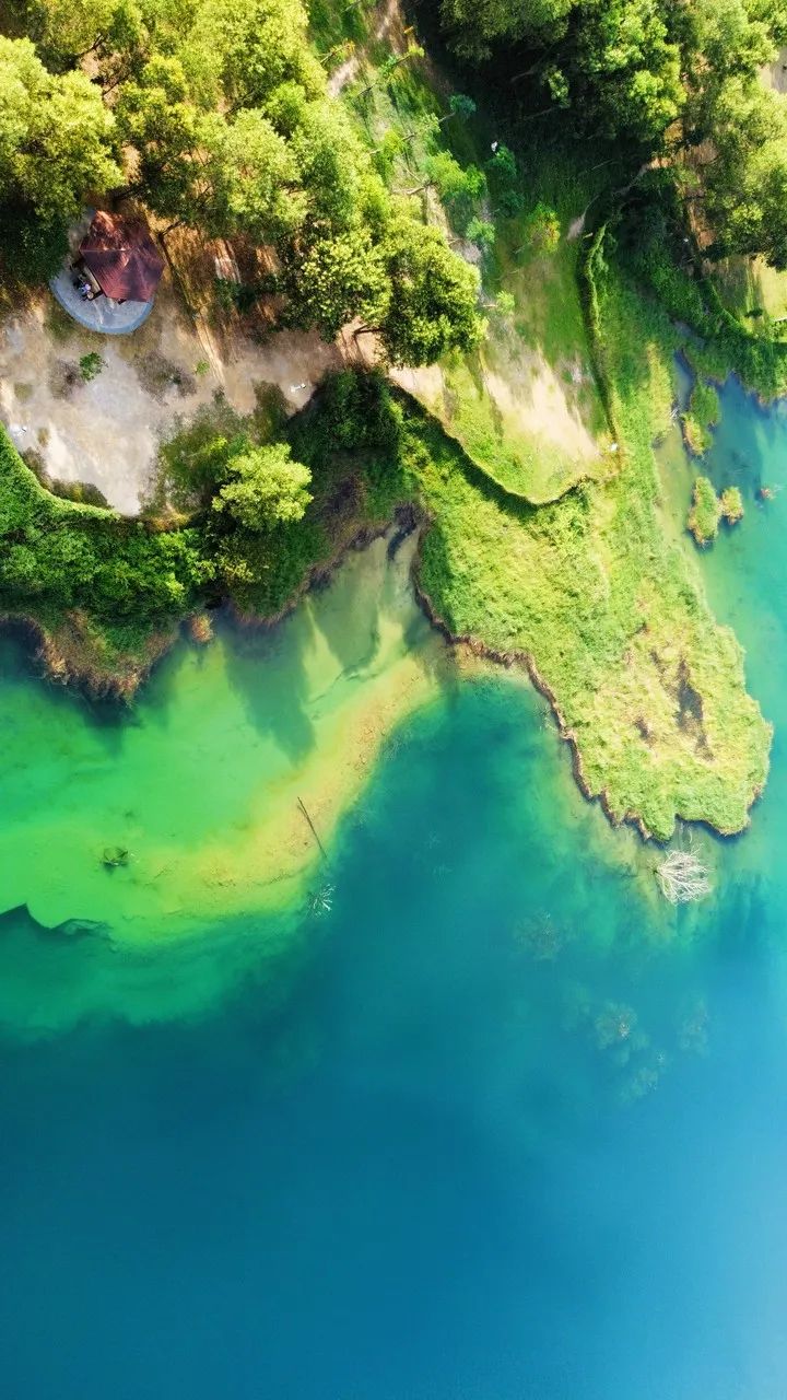 美食之都潮汕,广东茂名的特色美食水果
