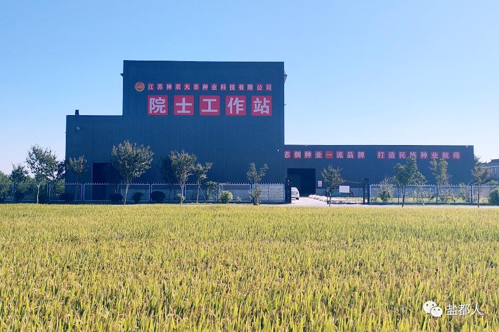 以振兴之笔擘画乡村发展画卷,以山水为笔绘好乡村振兴图