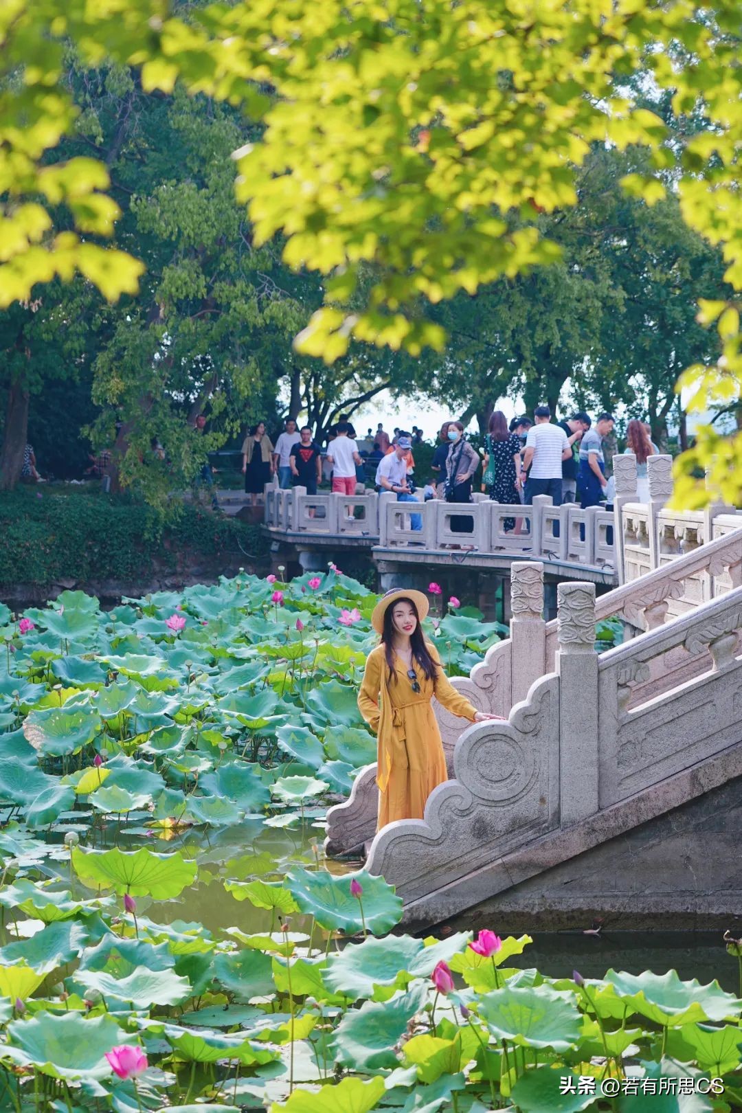 鼋头渚赏月看烟花,太湖鼋头渚烟花旅游攻略