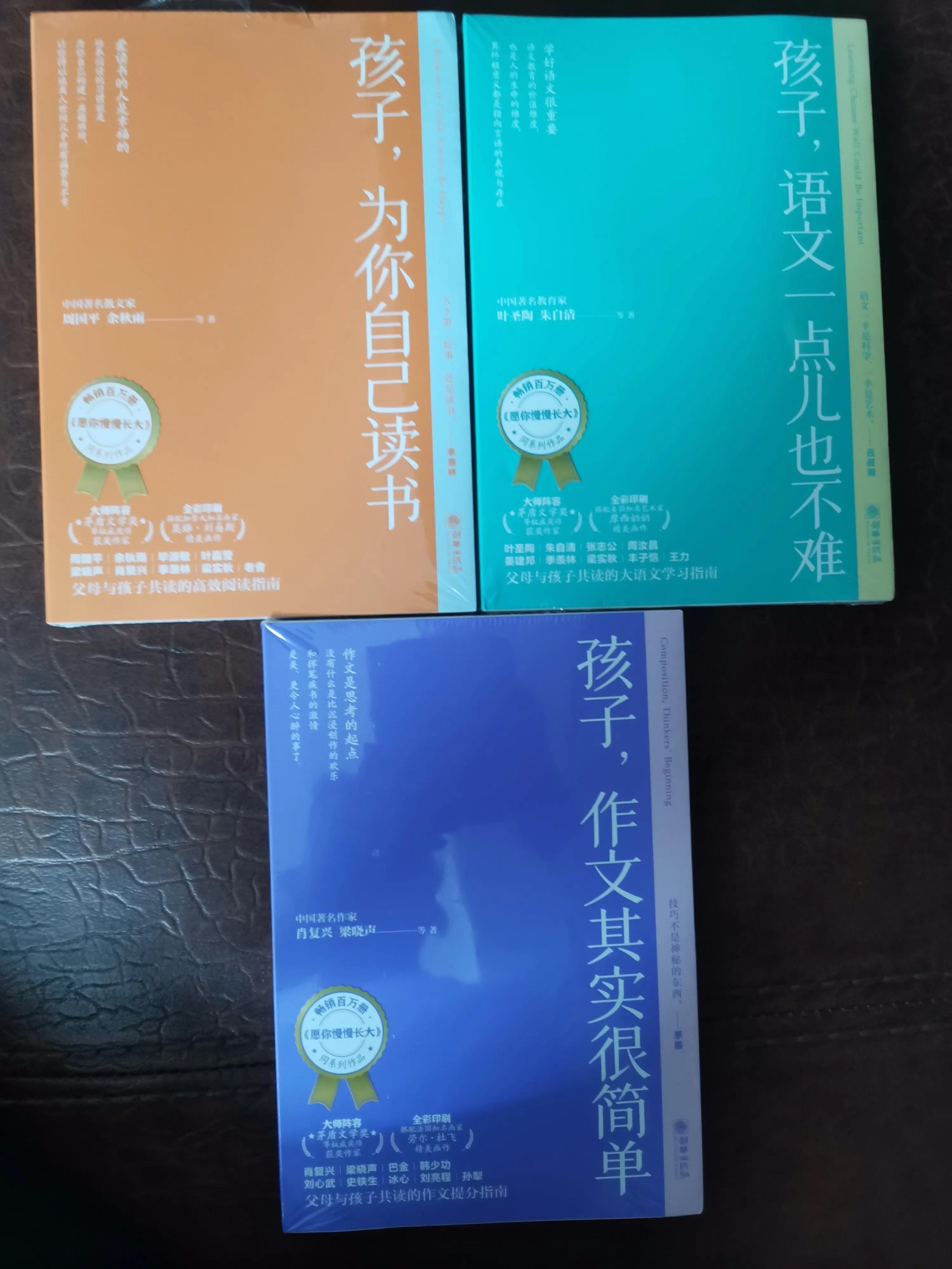 四年级上册语文书评,大语文系列全10册