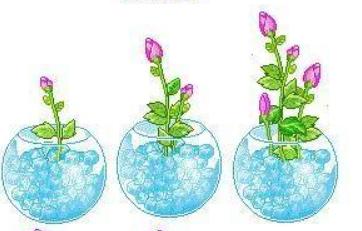 你的QQ号是几位数？还记得第一个头像是用哪一个吗？