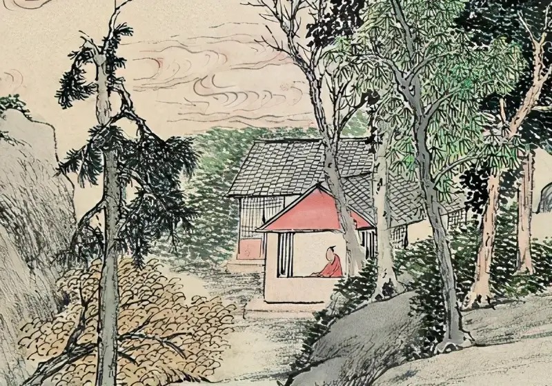 奇案大观视频全集,奇案大观