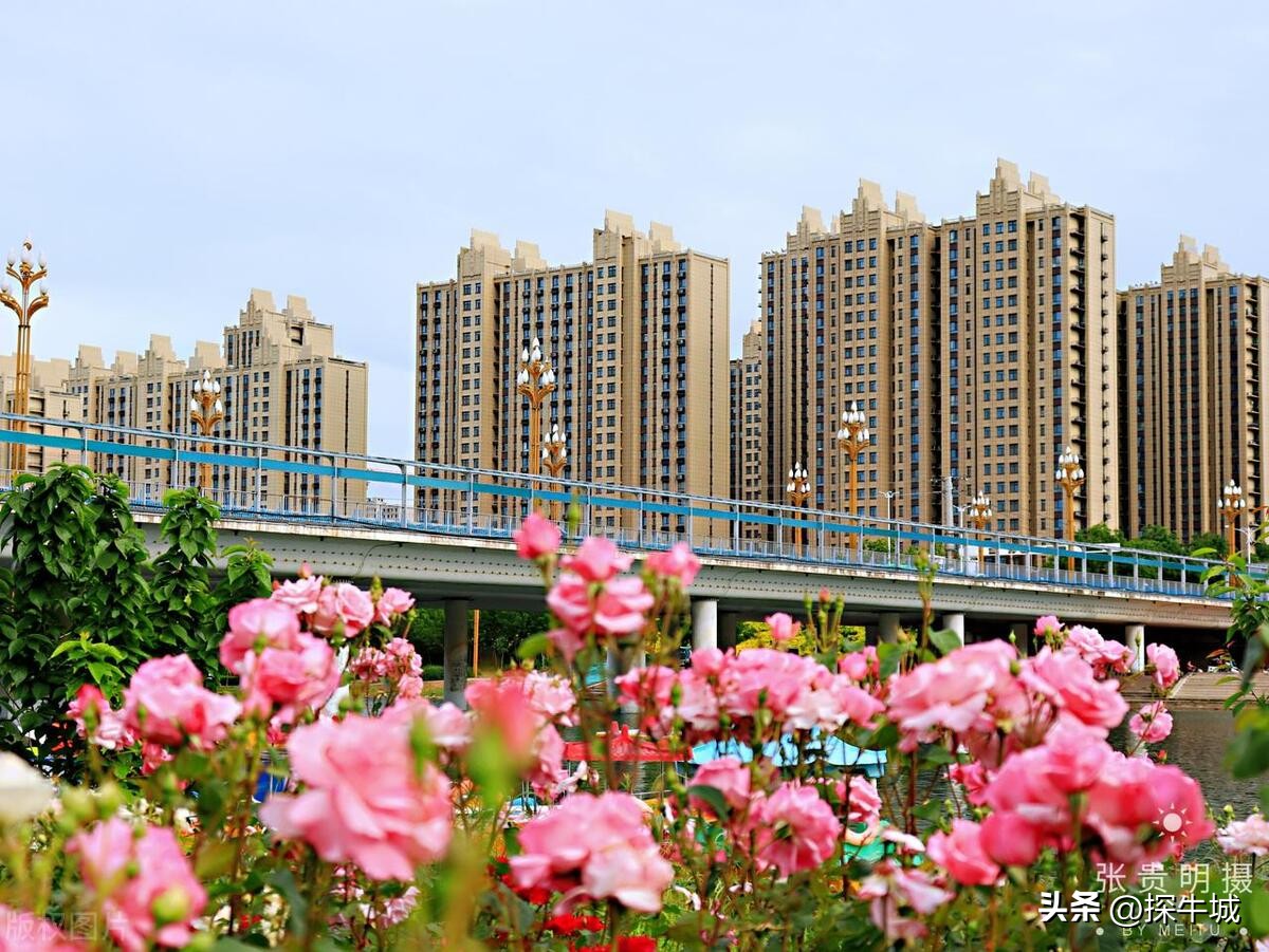 邢台有几个县和地级市,邢台市所有县城的名称