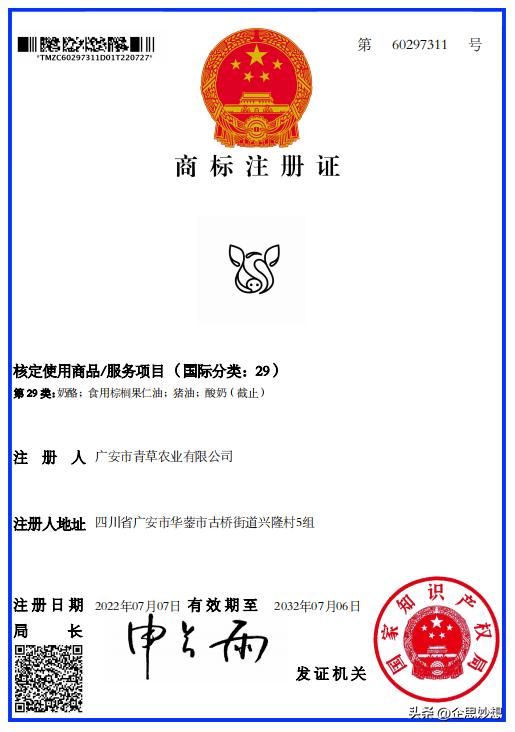 注册商标logo应该怎么设计,图形logo和商标注册有什么区别