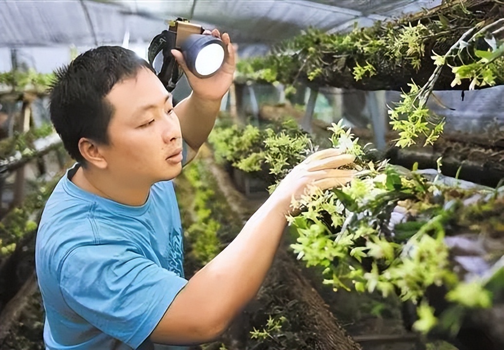 休闲农业可以开发哪些创意,休闲农业规划十大秘诀