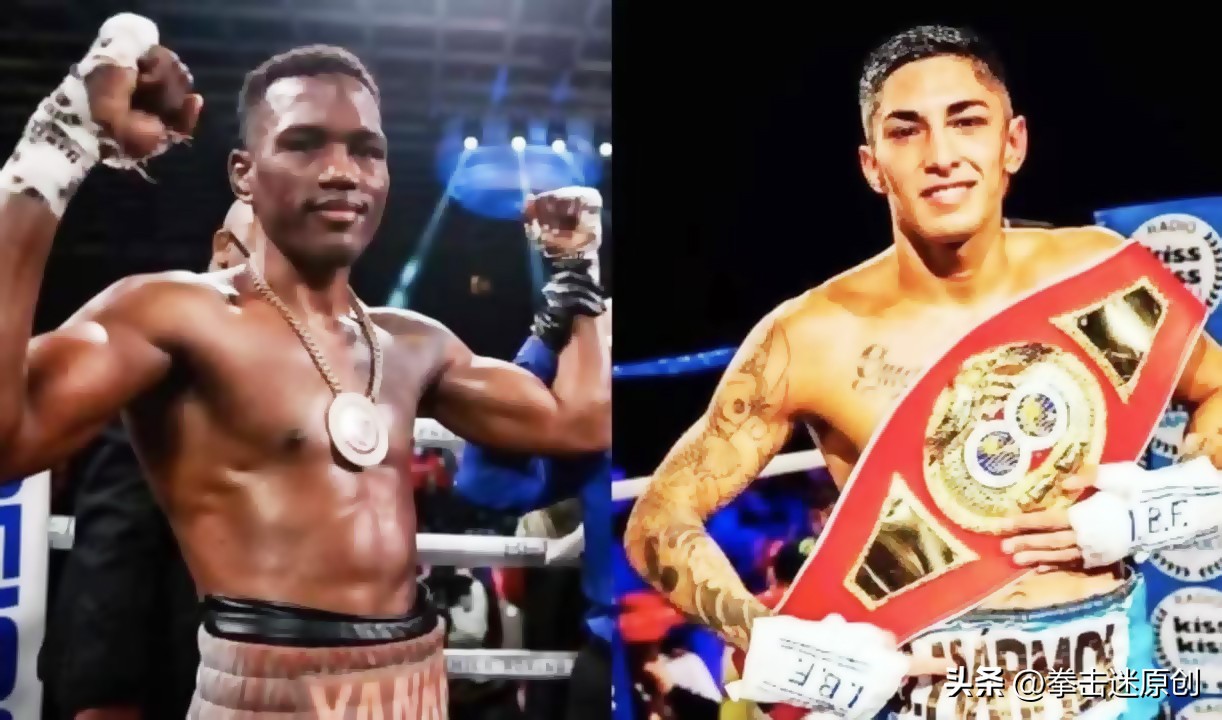 维尔德vs赫勒纽斯出场,维尔德vs赫伦纽斯出场费及赔率