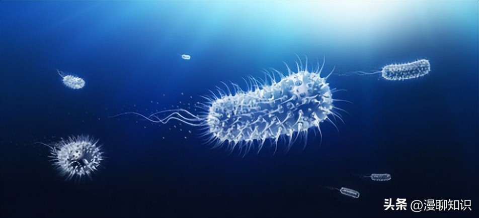 MRSA治疗新途径有哪些？关于CR-AB治疗策略有哪些