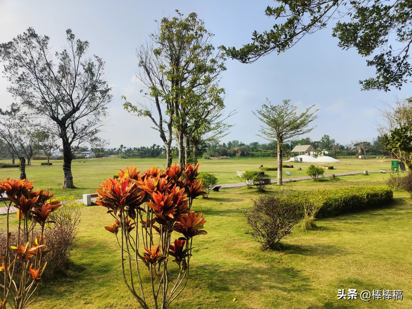 耗子闹春——春的味道