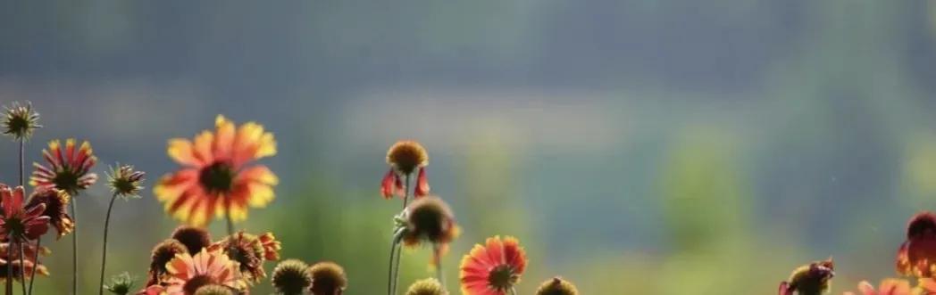 怎么问女生今天过得怎么样,别再问我今天过得好不好