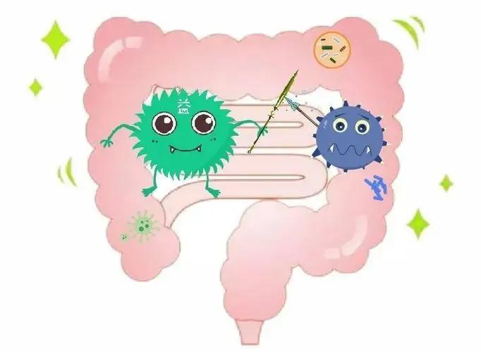 成人拉肚子腹泻吃什么食物,宝宝轮状病毒腹泻吃什么食物好