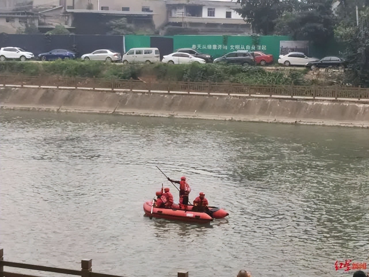 亲眼目睹狗狗落水溺亡,狗掉水里男子救狗