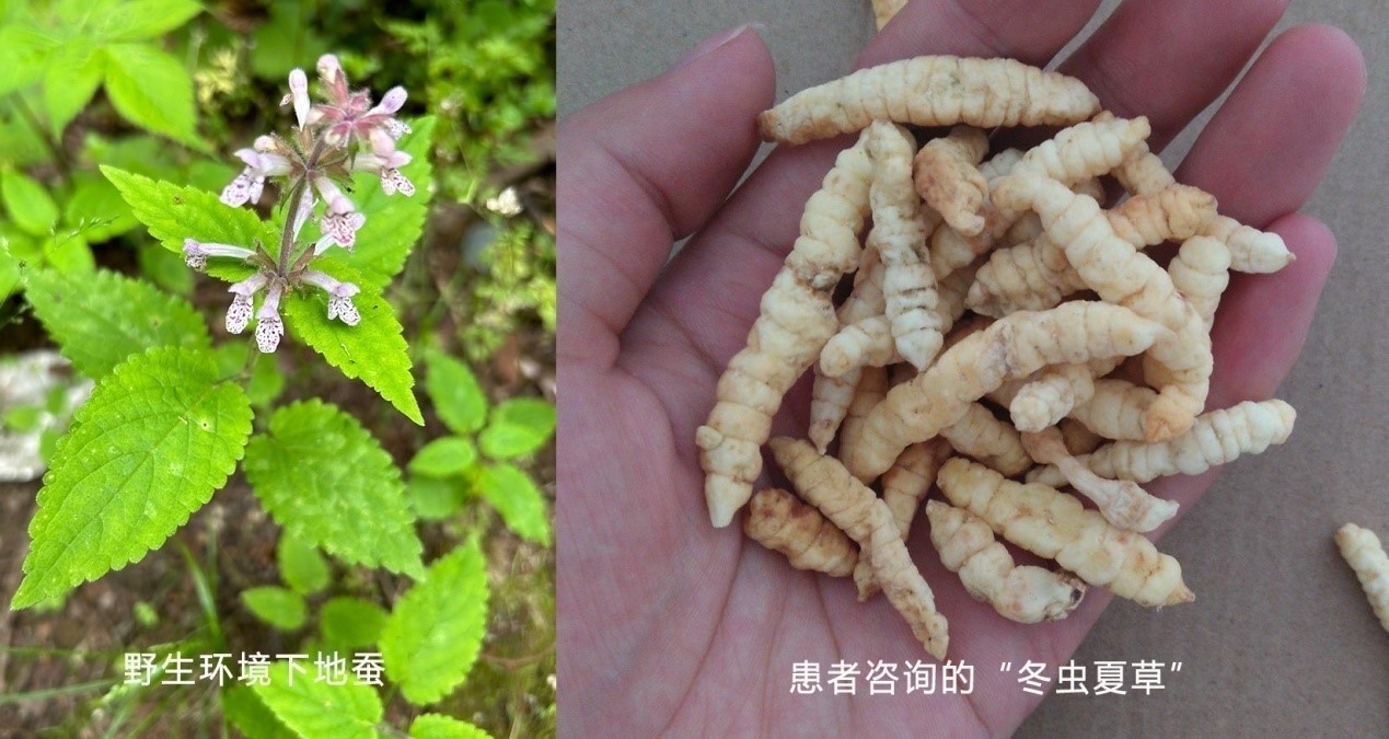 又贵又坑的神药,不建议买的神药