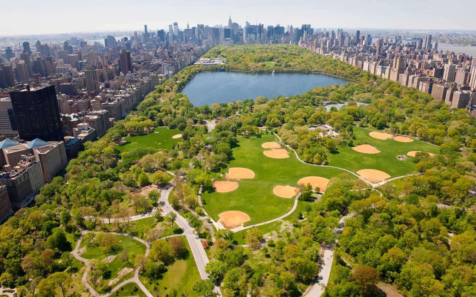 纽约公园中央公园,纽约中央公园的棒球场