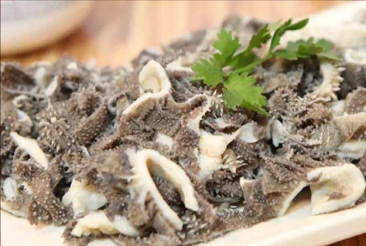 去天津必吃的饭店,去天津必吃美食街