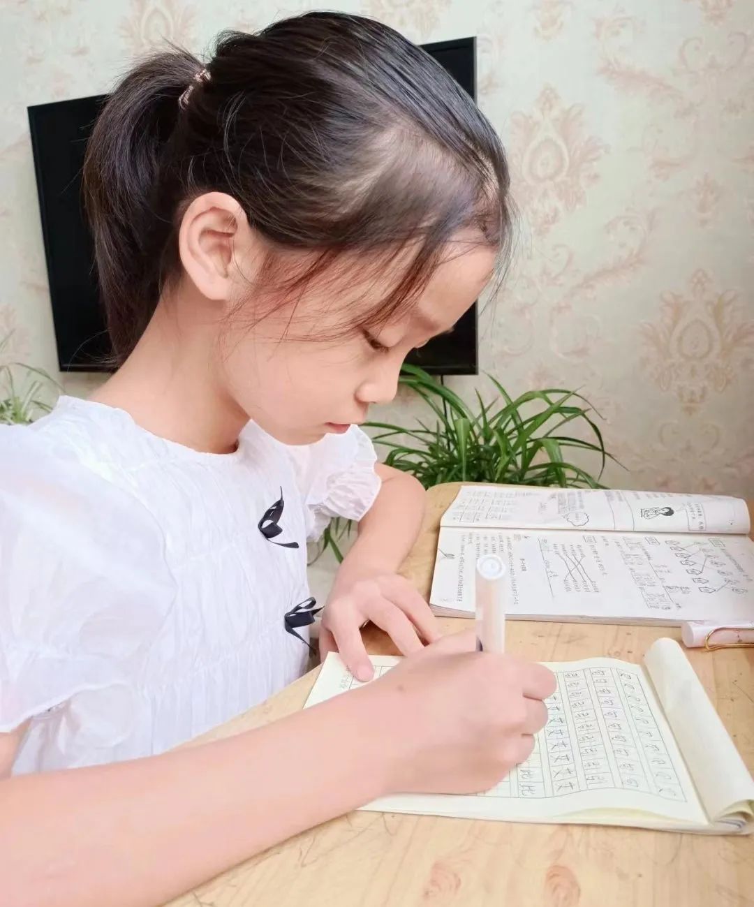 小学学霸练字二年级,练字小学二年级展示