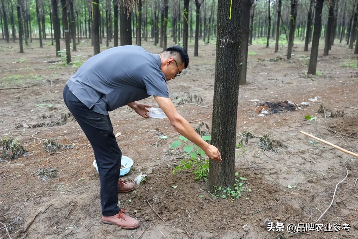 95后小伙捡破烂为生如今身价过亿,90后小伙靠捡烟头年入百万