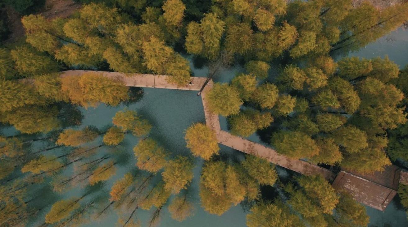 你以为的柯桥,真实的柯桥图片