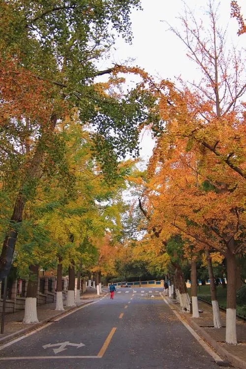 诸城旅行社跟团青岛崂山,崂山旅行社一日游价格