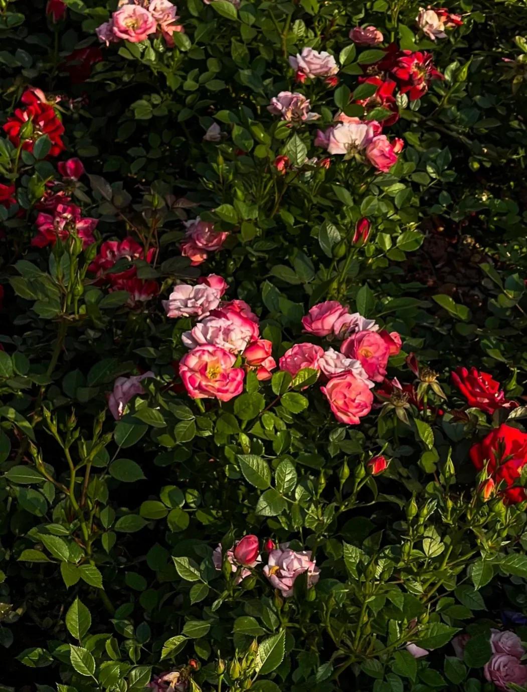 郑州游玩必去之处,郑州游玩的好地方推荐