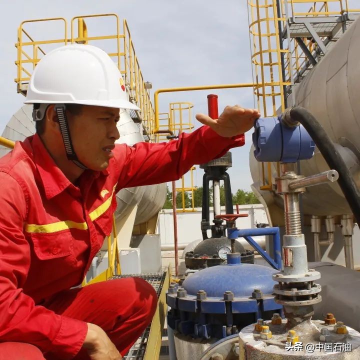 特别策划案例,特别策划系列