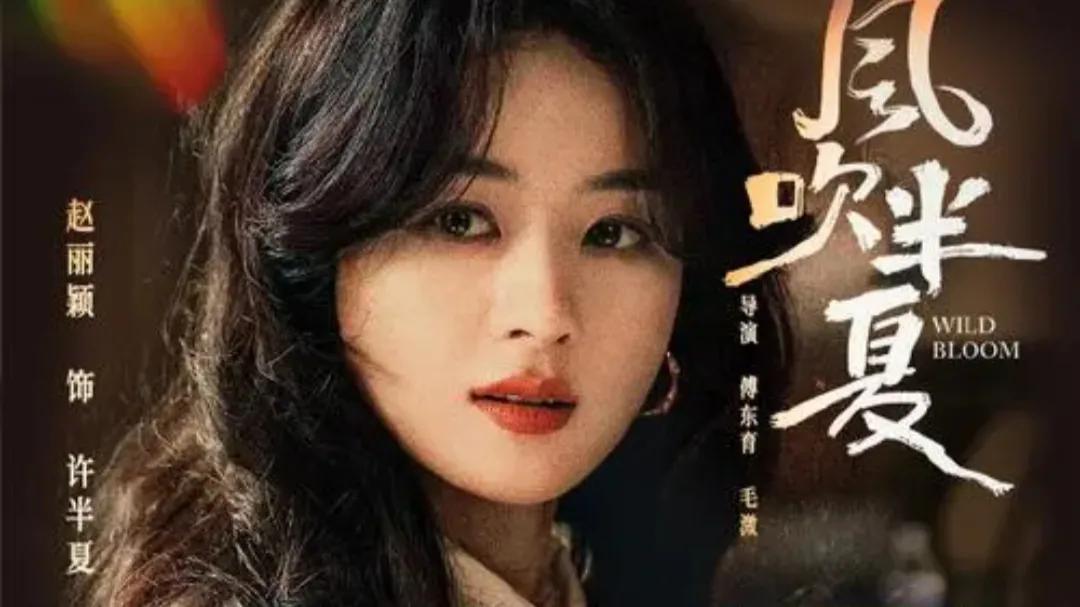 赵丽颖王侯将相士农工商混剪,赵丽颖演的电视剧士农工商