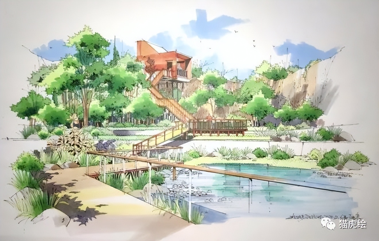 2022猫虎绘暑假手绘班招生简章「线上+线下」