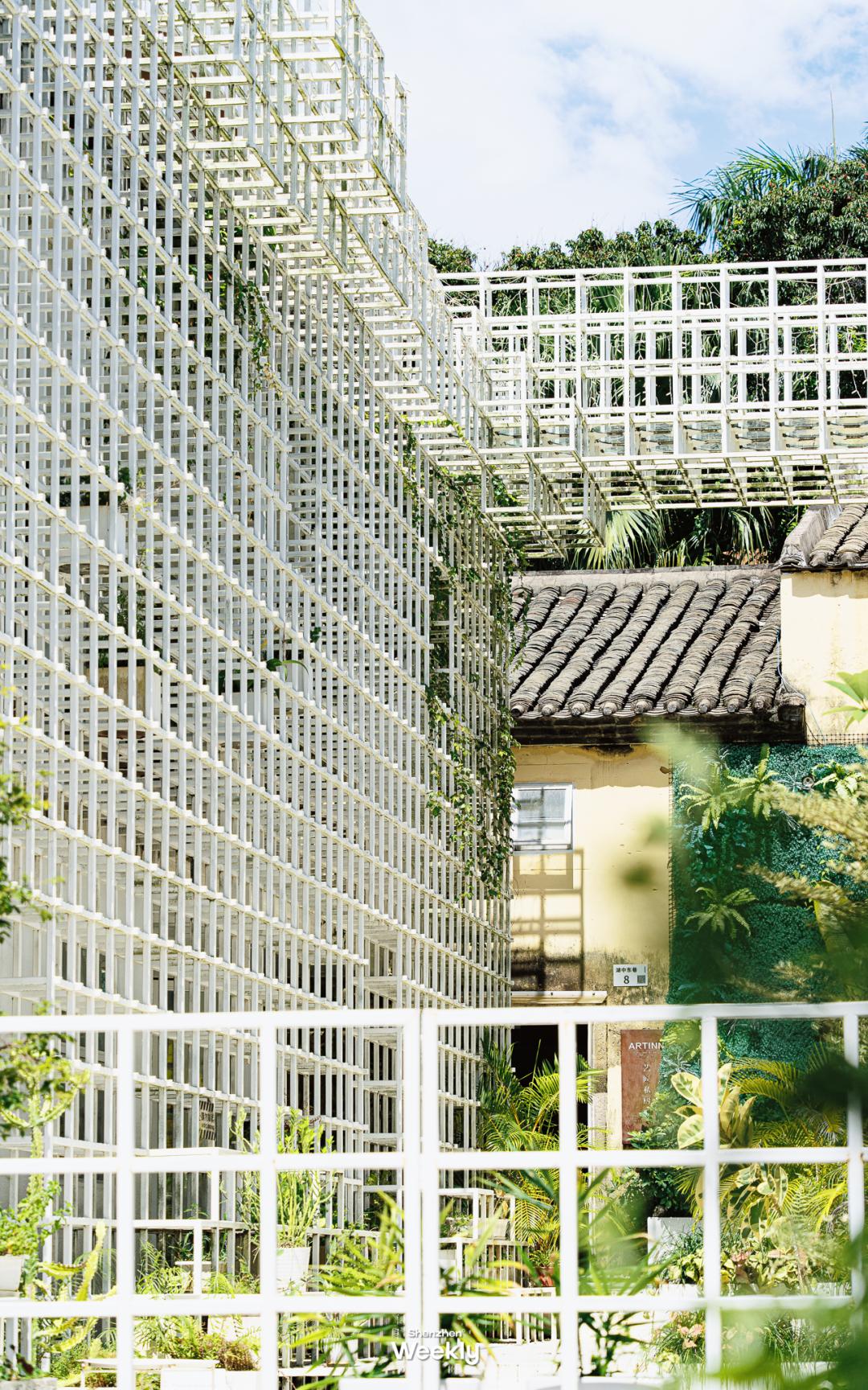 深圳玻璃海适合什么季节去,深圳适合藏玻璃海的地方