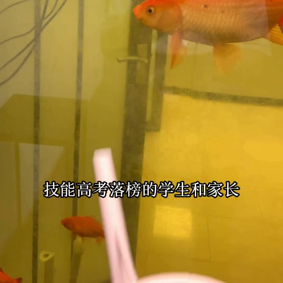 高考落榜有必要复读吗,技能高考落榜怎么补救