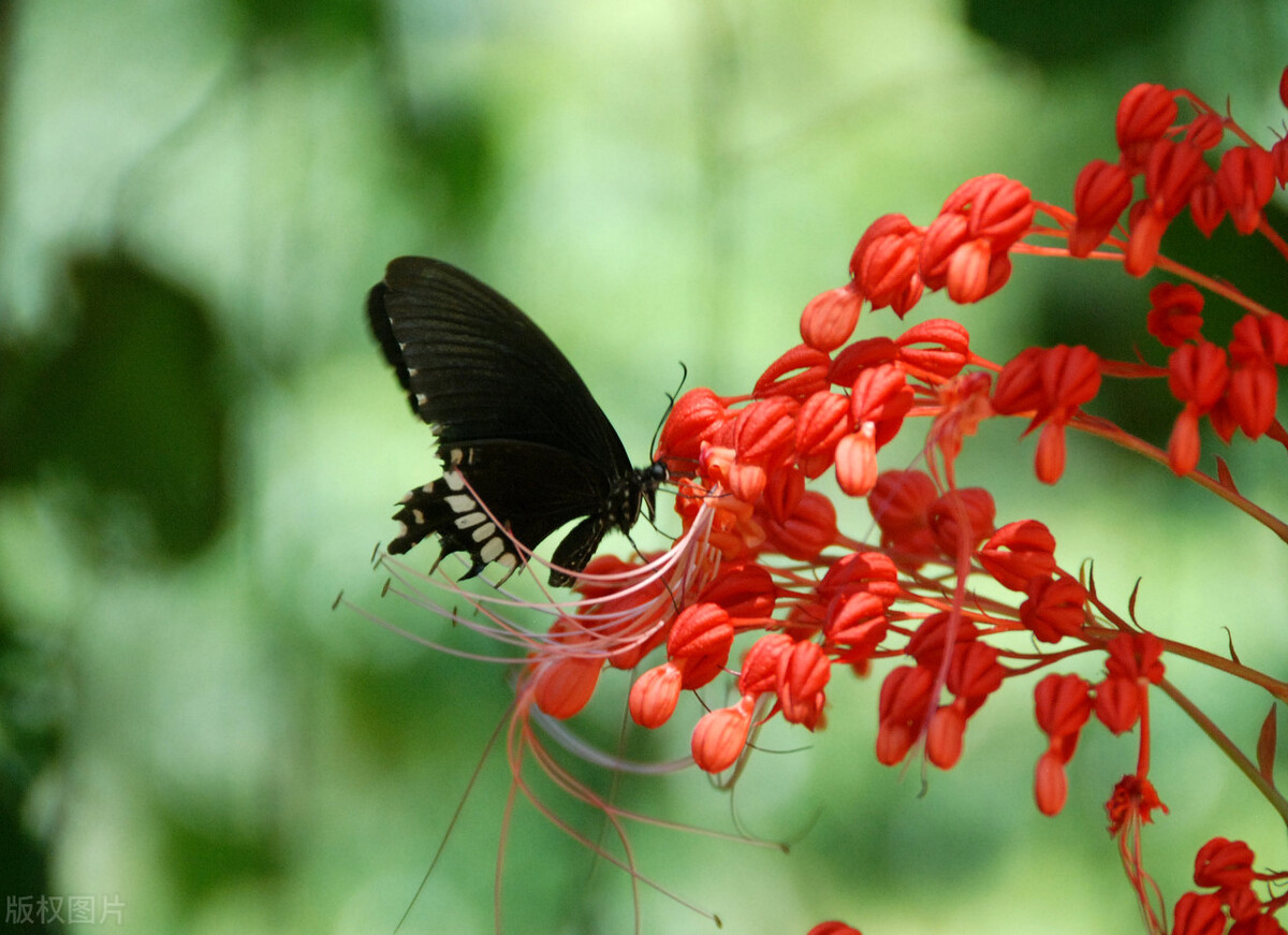 父母不在了兄弟姐妹有必要来往吗,父母不在了兄弟姐妹做好这3件事