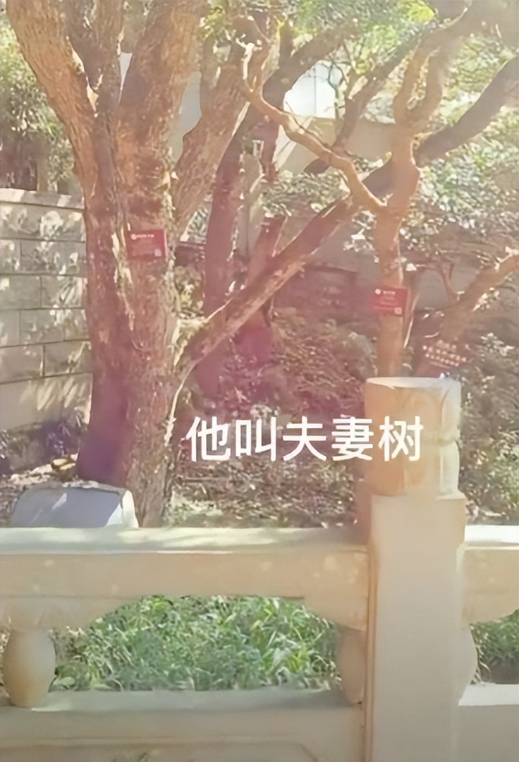 来普陀山的三件事,来普陀山一定要去的地方