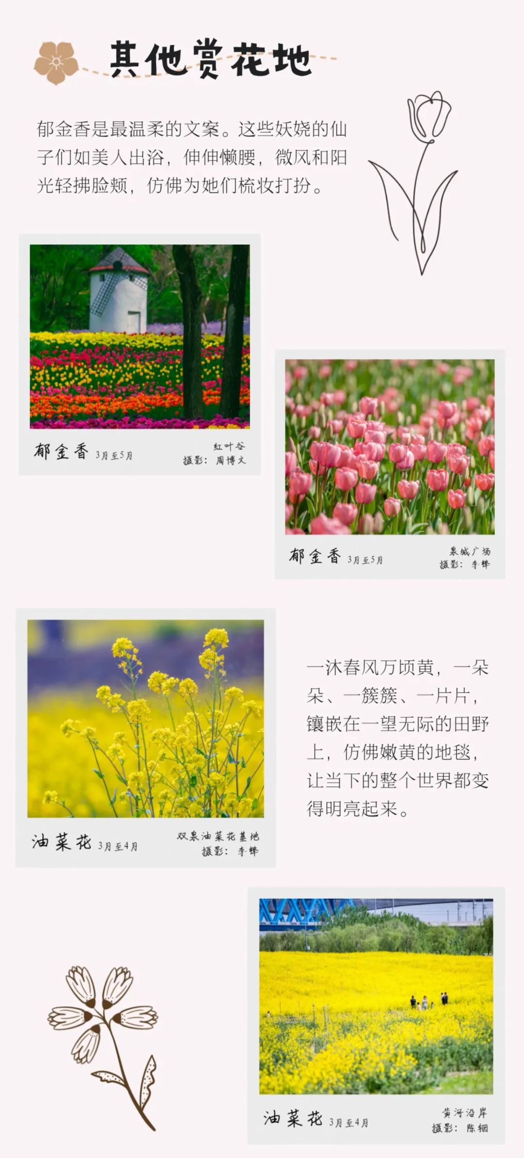 踏青济南攻略,济南黄河边春游攻略