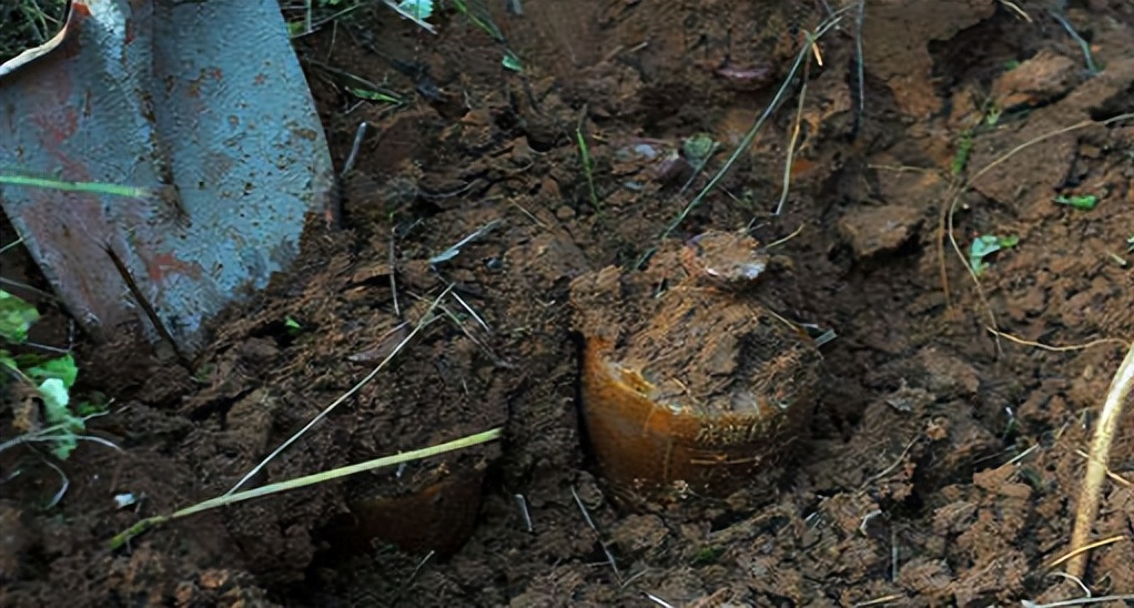 中国三大良心酒,中国3款良心酒曾家喻户晓