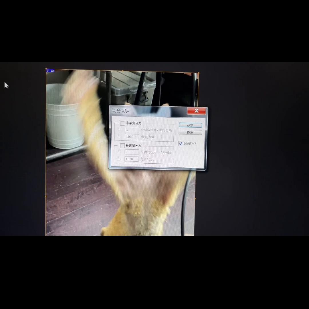 图片分割四份在一起的视频教程,怎么在回复里引用视频链接