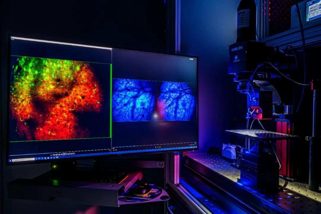 当时“全世界都不看好”，如今他们实现了多个首次！