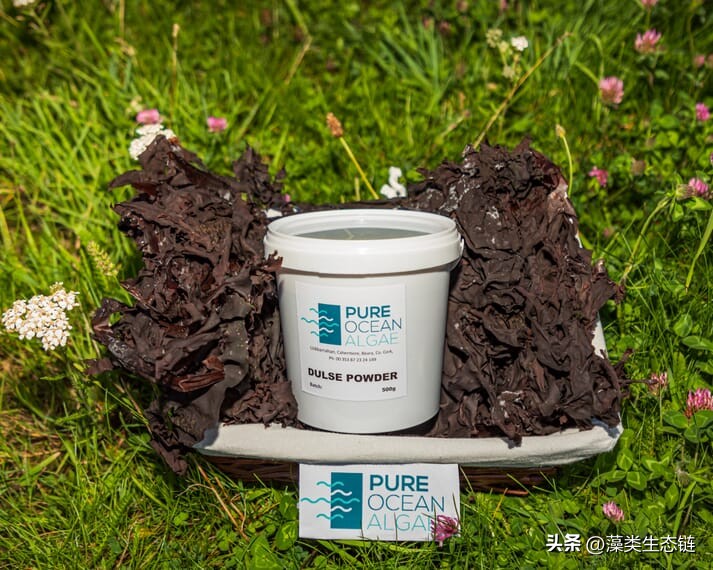 爱尔兰海藻有什么作用,爱尔兰海藻有什么好处