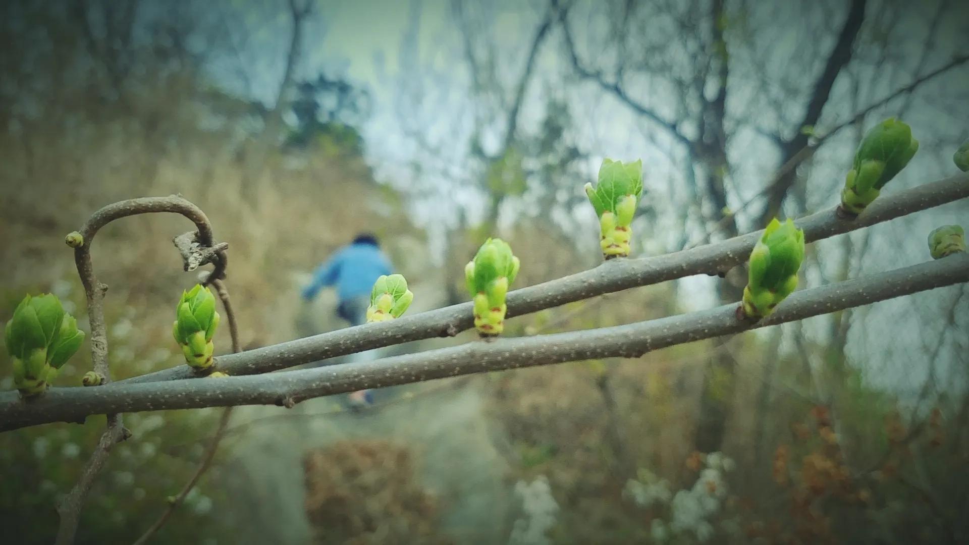 解封后你最想做什么,解封后你最想去的地方