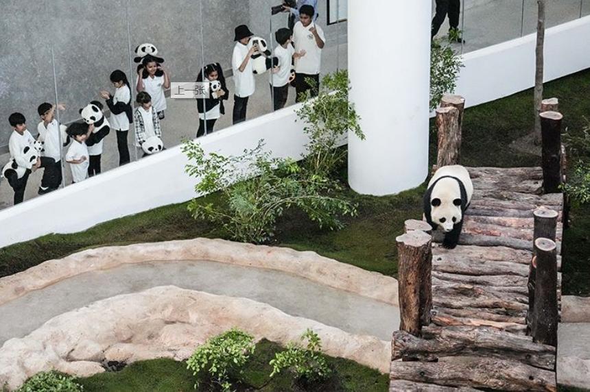 2014世界杯中的中国元素,2022世界杯中国元素英文