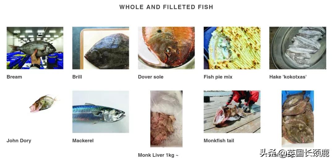 在英国怎么在网上买东西,英国海鲜刺身哪里买