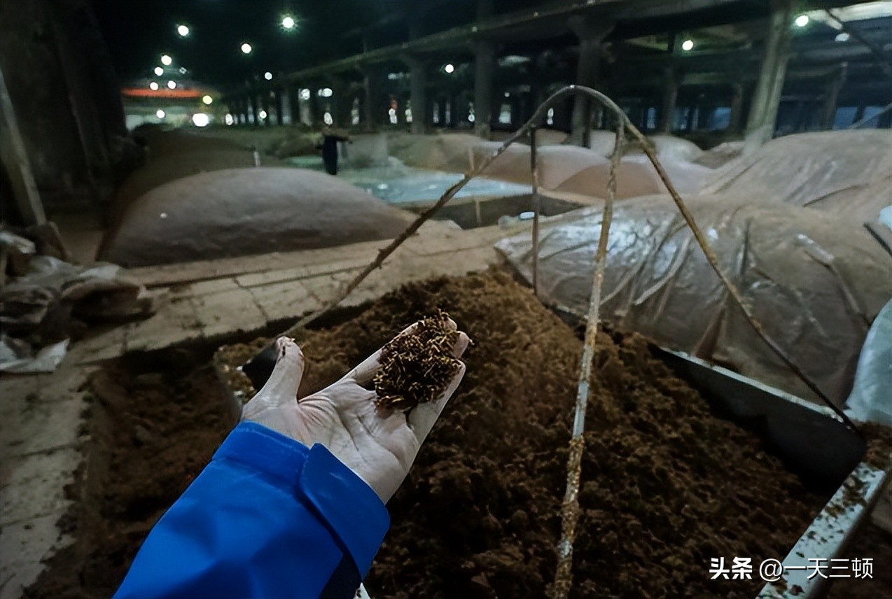 五粮液征服日本,五粮液传说