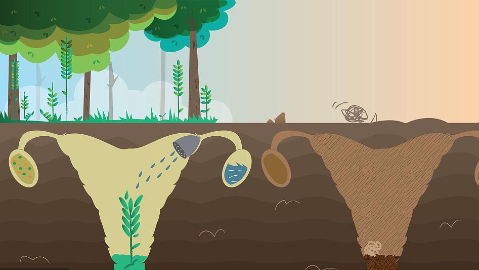 女人打过胎再怀孕容易吗,打过胎的女人要多注意什么