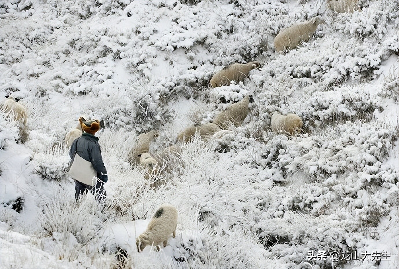 闆佸寳灏忚灏樺焹钀藉湴275,闆佸寳灏忚灏樺焹钀藉湴145
