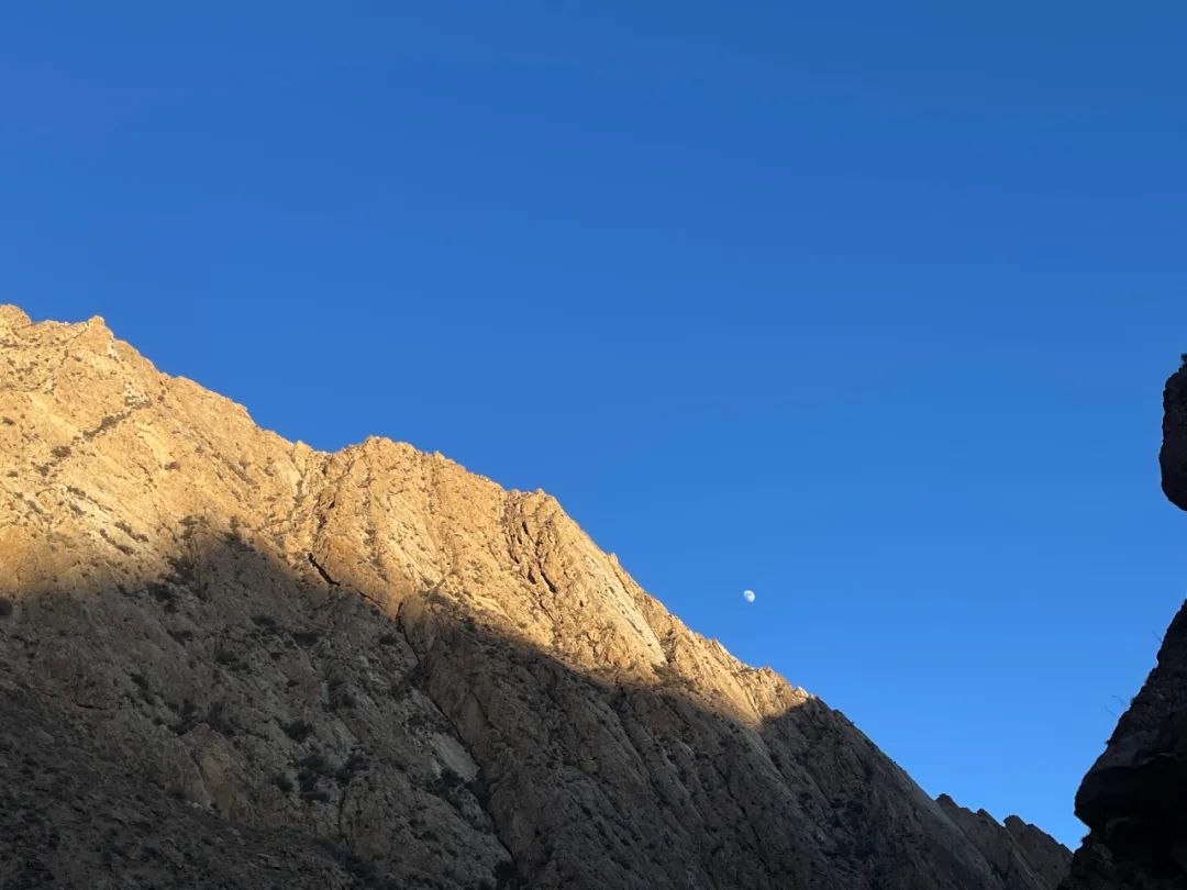 提升幸福指数tips,提升生活幸福感的小操作