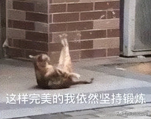 站起来眼前发黑是什么原因,站起来眼前发黑发晕是怎么回事