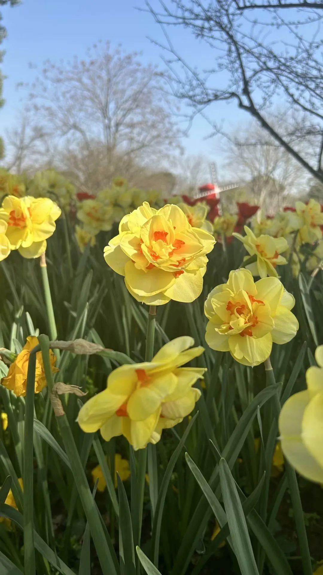 情商高和智商高的人有什么表现,情商高就意味着智商高