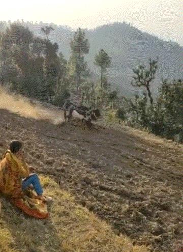 我真的很好奇原版,我真的很好奇男生版