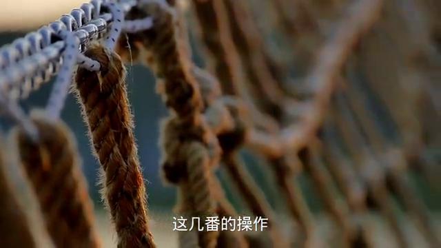 国企王老吉简介,国企王老吉