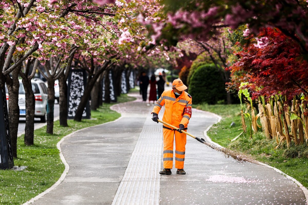 一个在西安待了七年的人,一个人在西安的生活视频