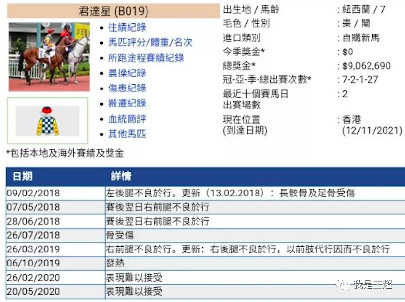 2马死亡3人受伤事故“早有征兆”？香港赛马会赛驹选拔标准遭质疑