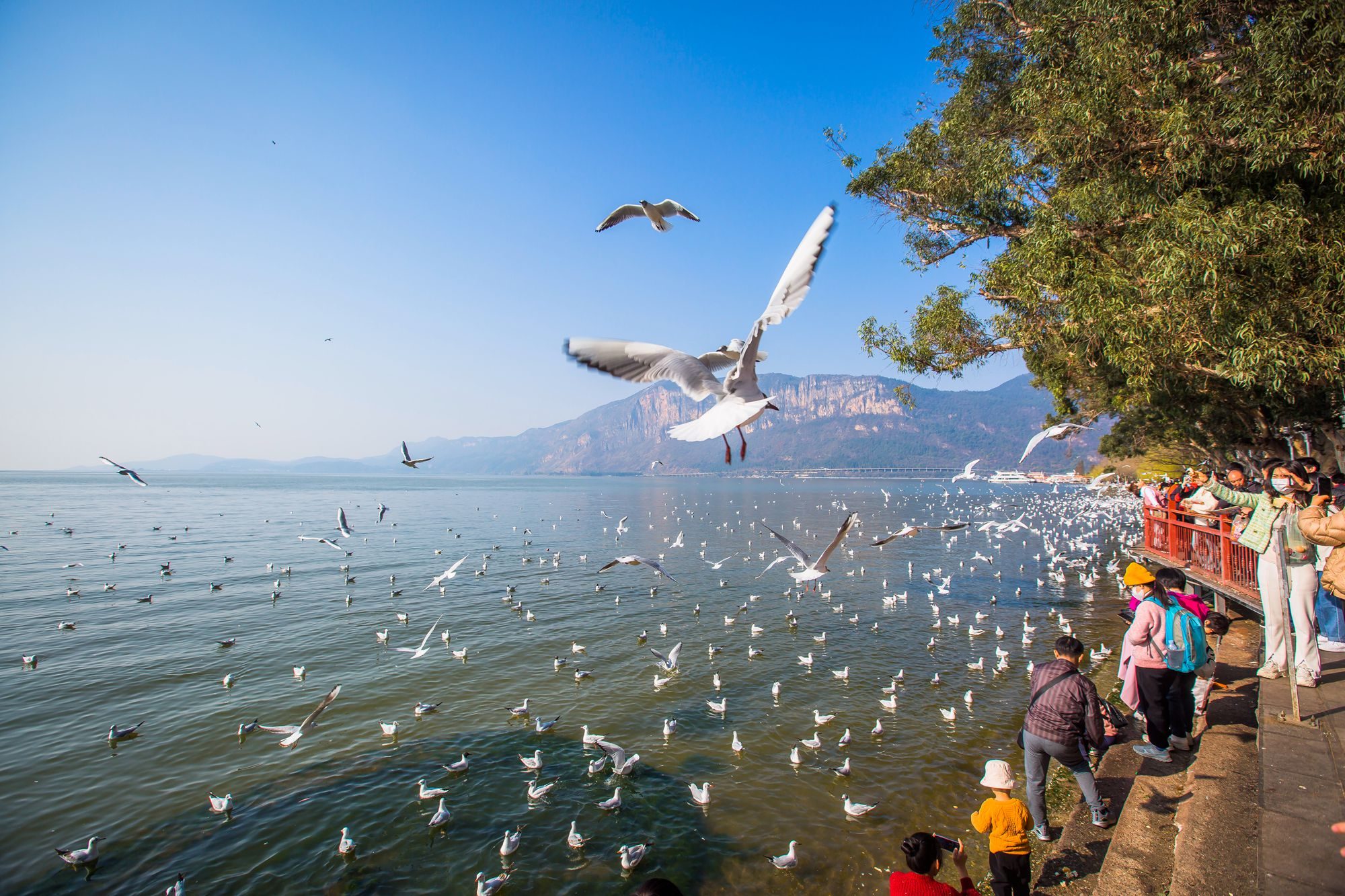 昆明滇池海埂公园有什么好玩的,昆明滇池海埂公园有没有沙滩